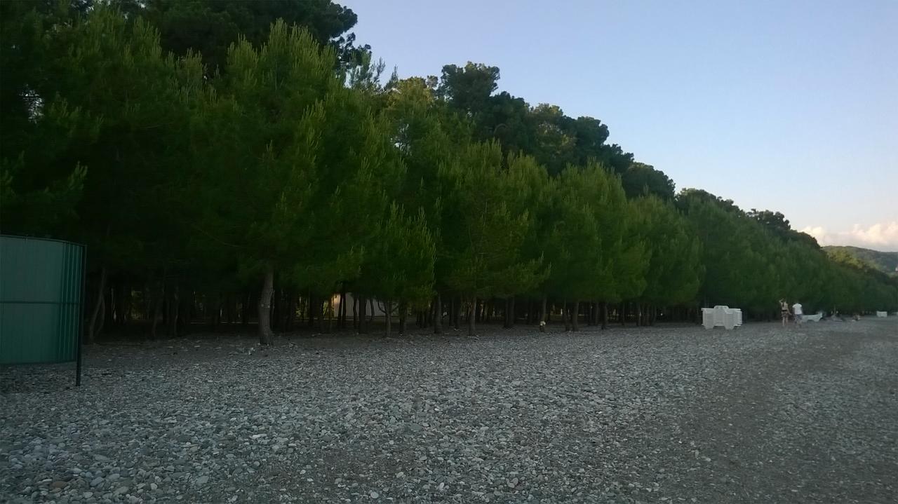 Lidzava Guest House Semeiniy Ochag מראה חיצוני תמונה